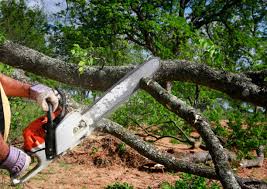 Best Lawn Grading and Leveling  in Bay Minette, AL